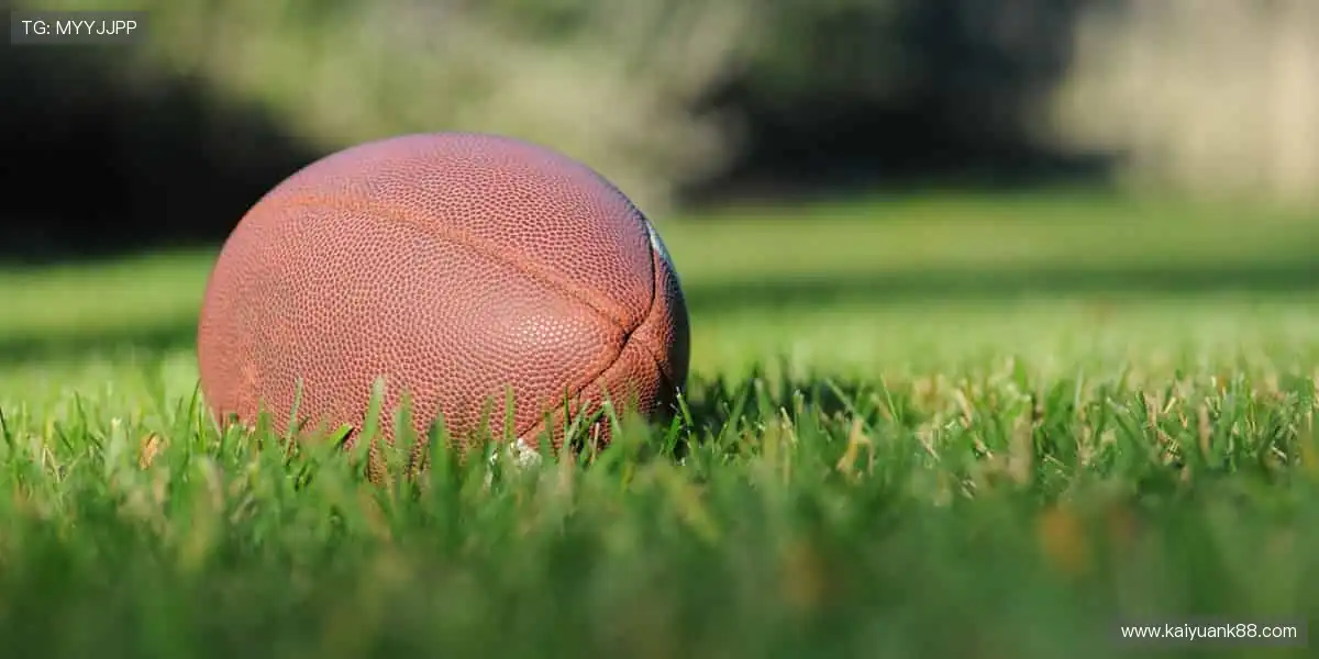 📡 无缝连接，不错过任何精彩瞬间！🌟